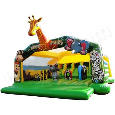 Giant Bouncy Castle With Slide