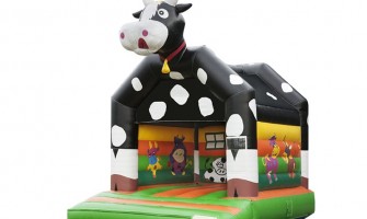 Are There Different Installation Procedures for Indoor and Outdoor Jumping Castles? Are There Different Installation Procedures for Indoor and Outdoor Jumping Castles?