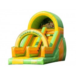 Inflatable Jungle Slide