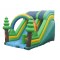 Commercial Inflatable Slide Commercial Inflatable Slide
