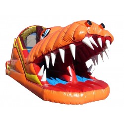 Happy Jump Gator Slide