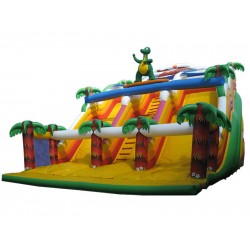 Surfing Dragon Inflatable Slide