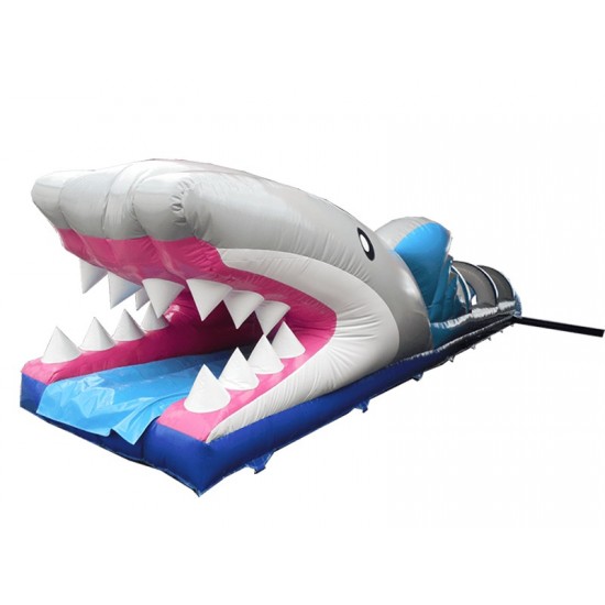 Shark Slide Shark Slide