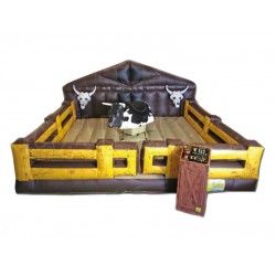 Inflatable Rodeo Bull Inflatable Rodeo Bull