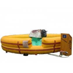 Mechanical Bull