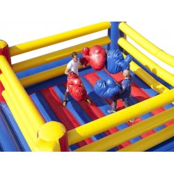 Inflatable Boxing Ring Inflatable Boxing Ring