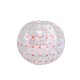 Zorb Ball Zorb Ball