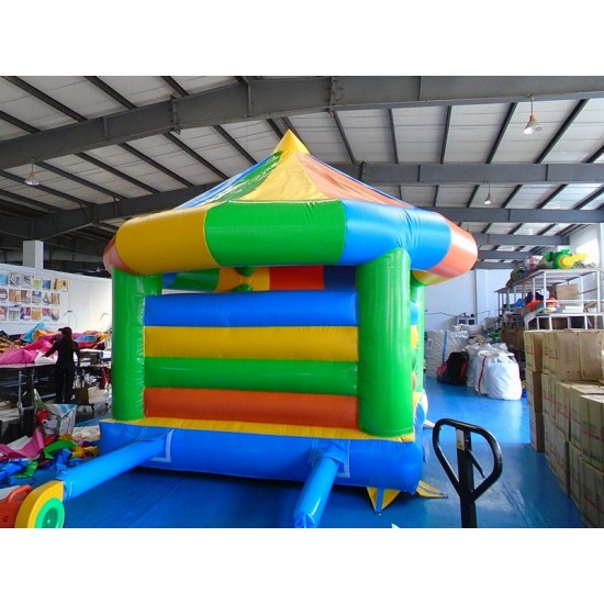 Adult Bounce House Adult Bounce House