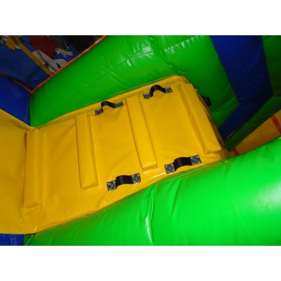 Lion Bouncy Castle Combo Lion Bouncy Castle Combo