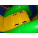 Lion Bouncy Castle Combo Lion Bouncy Castle Combo