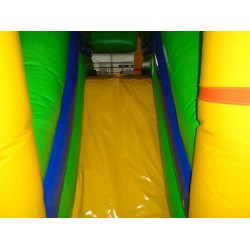 Lion Bouncy Castle Combo