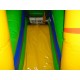 Lion Bouncy Castle Combo Lion Bouncy Castle Combo