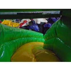 Crocodile Water Slide