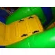 Lion Bouncy Castle Combo Lion Bouncy Castle Combo