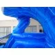 Water Slide And Slip N Slide Water Slide And Slip N Slide